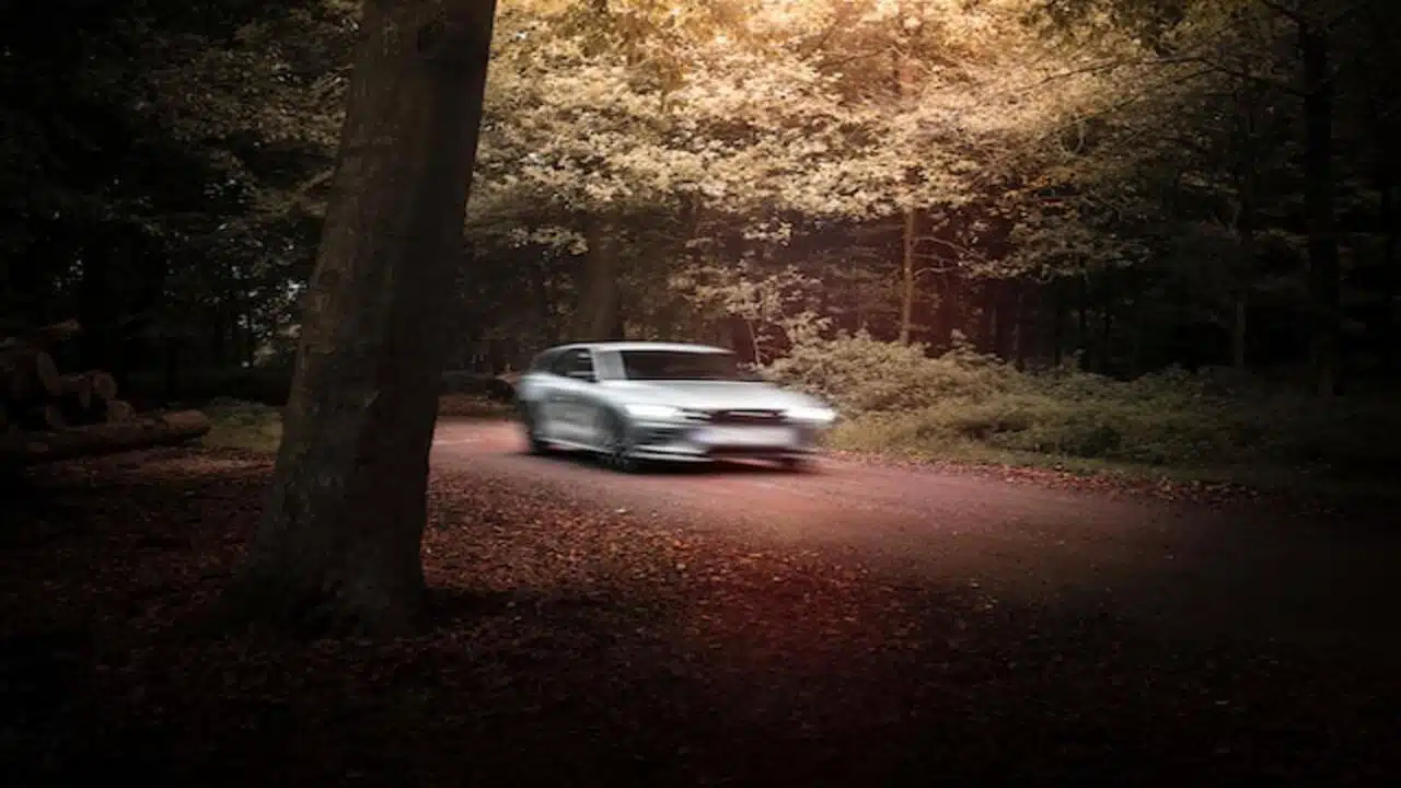a gray car in the middle of the forest
